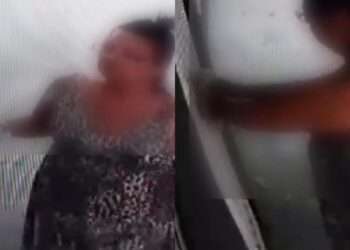 Vídeo: na “caruda”, mulher joga gatinho por grade de casa e protetora pede ajuda para encontrá-la 