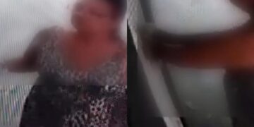 Vídeo: na “caruda”, mulher joga gatinho por grade de casa e protetora pede ajuda para encontrá-la 