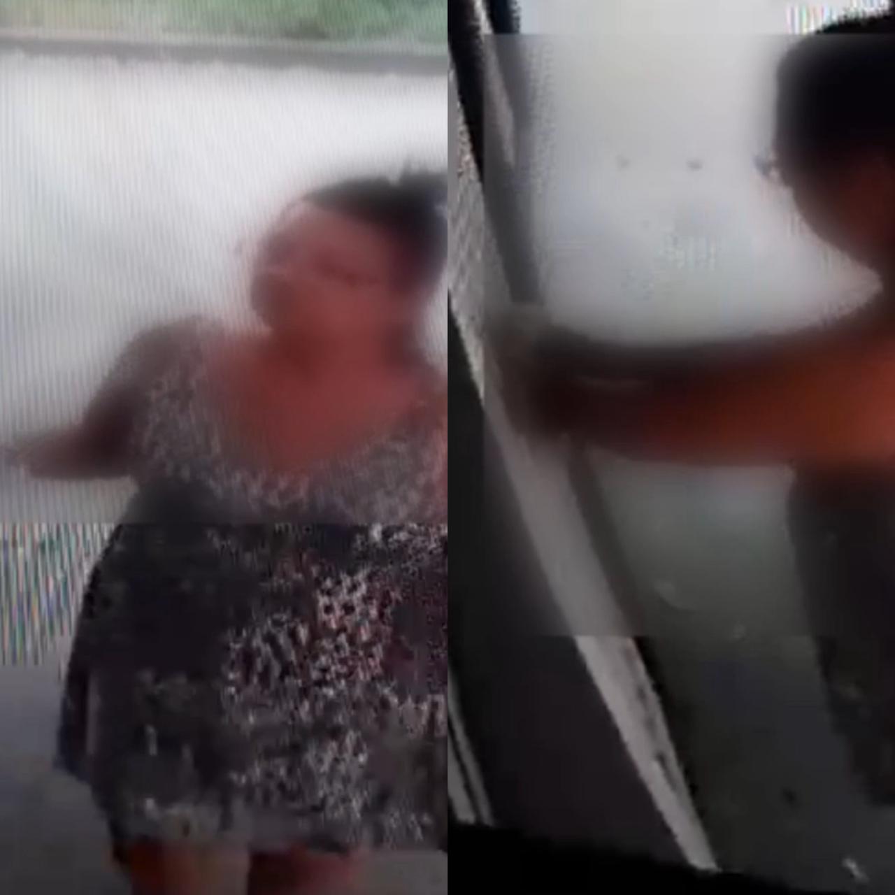 Vídeo: na “caruda”, mulher joga gatinho por grade de casa e protetora pede ajuda para encontrá-la 