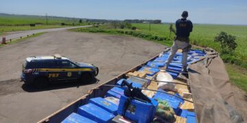 PRF apreende 3,7 toneladas de maconha, um fuzil e munições em Naviraí