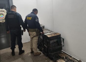 PRF e PM apreendem 649 Kg de cocaína em Dois Irmãos do Buriti