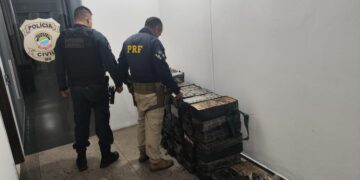 PRF e PM apreendem 649 Kg de cocaína em Dois Irmãos do Buriti