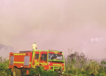 Com treinamento e tecnologia, atuação dos bombeiros é destaque no combate a incêndios florestais