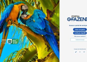 IPVA 2024 poderá ser pago com Pix; novo portal garante segurança para contribuintes