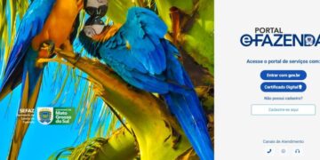 IPVA 2024 poderá ser pago com Pix; novo portal garante segurança para contribuintes