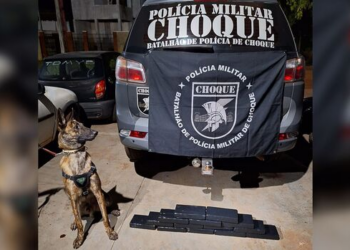 Bolivianos são presos com droga avaliada em R$ 1 mi