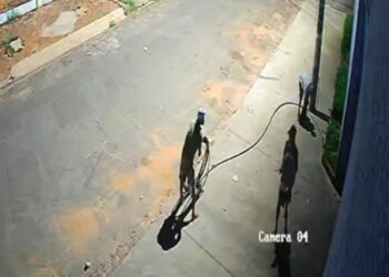 Vídeo: câmeras flagram furto de fios na Vila Progresso; GCM prepara ação na Capital 