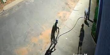 Vídeo: câmeras flagram furto de fios na Vila Progresso; GCM prepara ação na Capital 