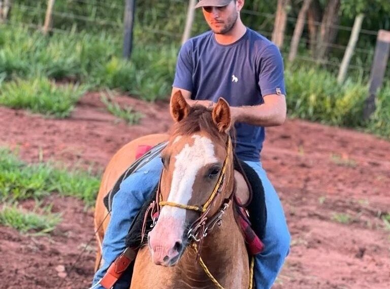 Jovem cai de altura de telhado  e m*rre em Camapuã