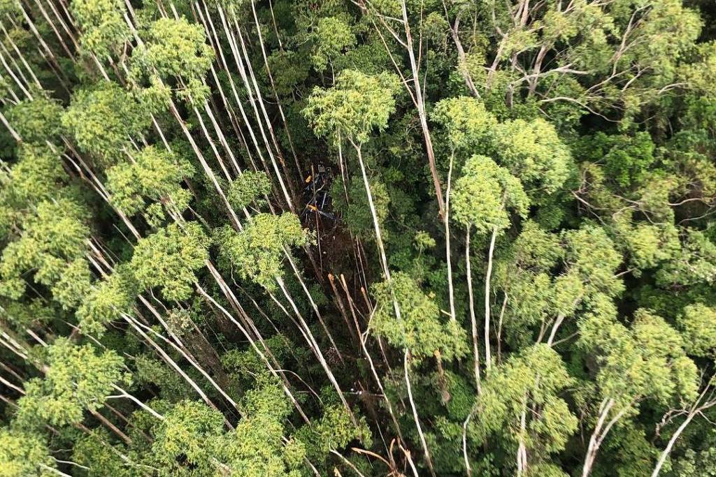Helicóptero desaparecido é localizado em região de mata em Paraibuna
