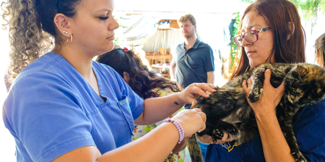 Primeiro Subea em Ação do ano, leva atendimento veterinário a Vila Margarida nesta sexta-feira 