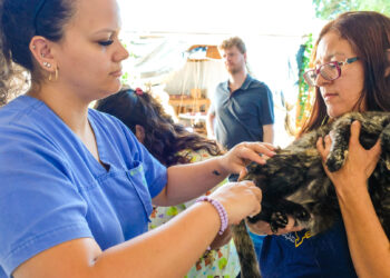 Primeiro Subea em Ação do ano, leva atendimento veterinário a Vila Margarida nesta sexta-feira 