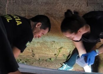 Idosa é m*rta a f4c4das pelo ex; neto foi defender e também foi golpeado 