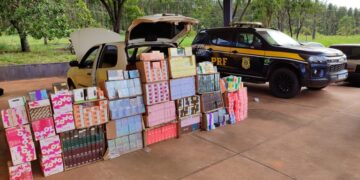 PRF apreende carga de cigarros eletrônicos em Três Lagoas