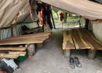 Mais de 80 pessoas foram resgatas de trabalho escr4v* em 2023 no MS