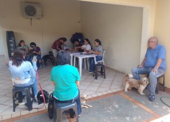 Dourados: CCZ inicia etapa final do Programa Municipal de Castração