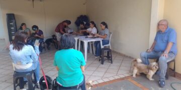 Dourados: CCZ inicia etapa final do Programa Municipal de Castração