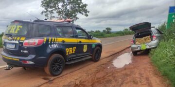 PRF apreende 230 Kg de maconha em Bataguassu