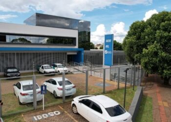 IEL deve encaminhar 4 mil estagiários para o mercado de trabalho em 2024