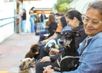 Nódulos em pets não devem ser ignorados, destaca veterinário da Subea