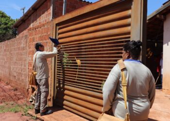 Prefeitura realiza ação de combate à dengue durante fim de semana e feriado de Carnaval