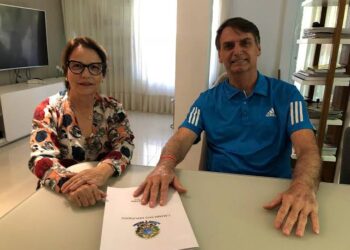 Patada da Onça: o que o PP tem que PL não tem e a alta fatura de Bolsonaro com Tetê 