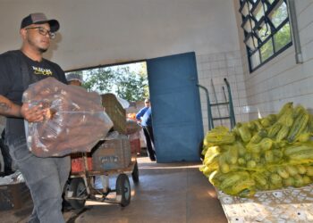 Prefeitura abre inscrições para produtores familiares participarem do Programa de Aquisição de Alimentos