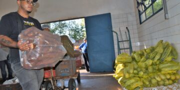 Prefeitura abre inscrições para produtores familiares participarem do Programa de Aquisição de Alimentos