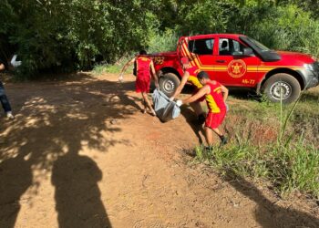 Menino de 11 anos ‘cabula’ aula para nadar com primo e m*rre afogado em MS