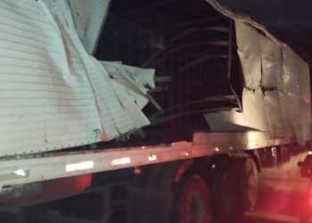 Vídeo: Bêbado apanha mais que ‘gato de desenho’ ao deixar rastro de destruição com carreta