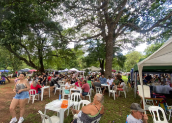 Agenda Cultural: Sarau Cultural, encontro de brechós, enterro dos ossos e Feira Bosque da Paz animam o fim de semana