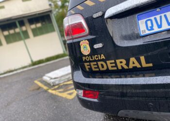 PF combate tráfico de drogas e de armas de fogo