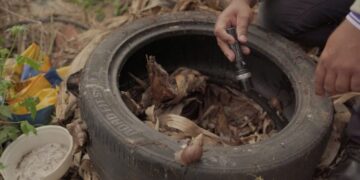 Defesa Civil de MS vai atuar para combater focos de dengue na divisa com PR e SP