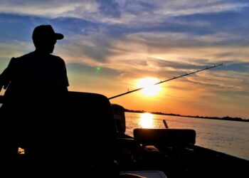 Reaberta temporada de pesca a partir dessa quinta-feira; Imasul alerta para regras ambientais