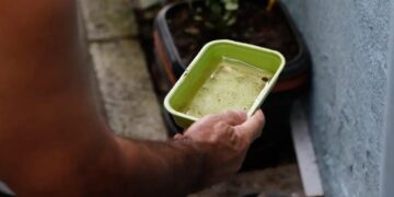 Dicas simples podem livrar sua casa dos focos da dengue e se prevenir contra doença