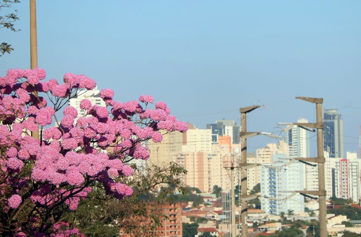 Primavera começa hoje com boas novas na previsão do tempo
