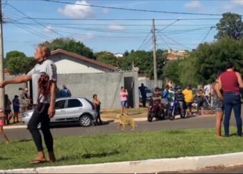 Vídeo: mãe de homem m*rto por pistoleiro se desespera e lembra que nora foi assn4da em 2020