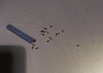 Dois m*rrem e um e baleado por dupla de moto no Centro Oeste 