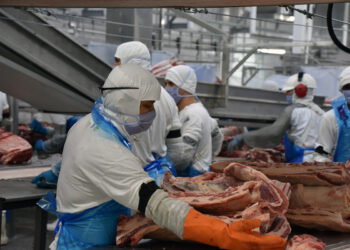 Indústria de MS gerou 2.252 novos postos formais de trabalho em janeiro