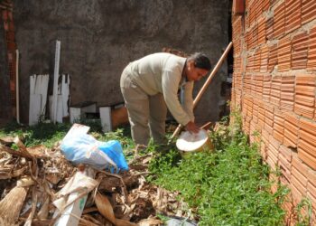 Prefeitura intensifica fiscalizações em terrenos baldios