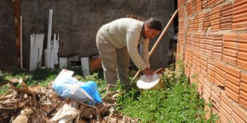 Prefeitura intensifica fiscalizações em terrenos baldios