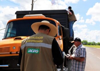 Com 29 vagas, Governo de MS autoriza concurso para área de fiscalização e defesa sanitária na Iagro