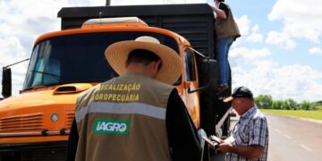 Com 29 vagas, Governo de MS autoriza concurso para área de fiscalização e defesa sanitária na Iagro