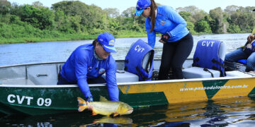 Pesca do dourado continua proibida nos rios de Mato Grosso do Sul até março de 2025