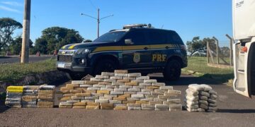 PRF apreende mais de 120kg de drogas na BR-163