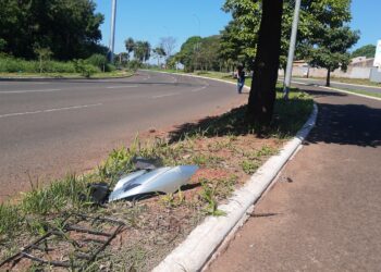 Homem morre após bater em árvore na Capital 