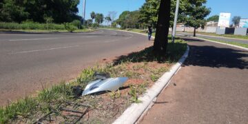 Homem morre após bater em árvore na Capital 