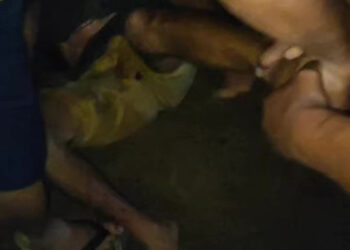 Vídeo: homem invade casa, tenta estüpr4r mulheres, apanha de moradores e mesmo assim é liberado 