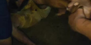 Vídeo: homem invade casa, tenta estüpr4r mulheres, apanha de moradores e mesmo assim é liberado 