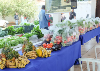 FAC já atendeu mais de 58 mil famílias com kit de legumes e verduras